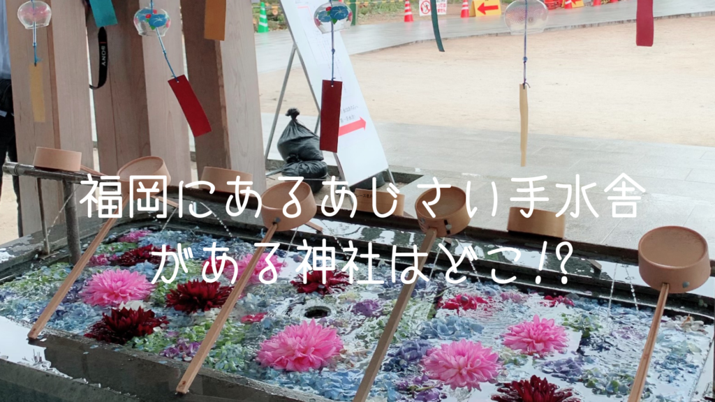 福岡県あじさいの手水舎がある 春日神社 期間はいつまで 最新情報 50代からのカラフル